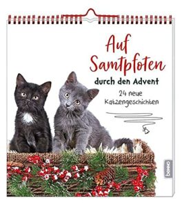 24 neue Katzengeschichten